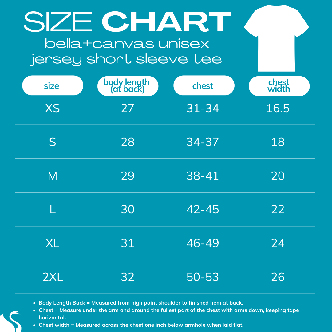 2025 Bella Canvas Unisex Tee SIZE CHART
