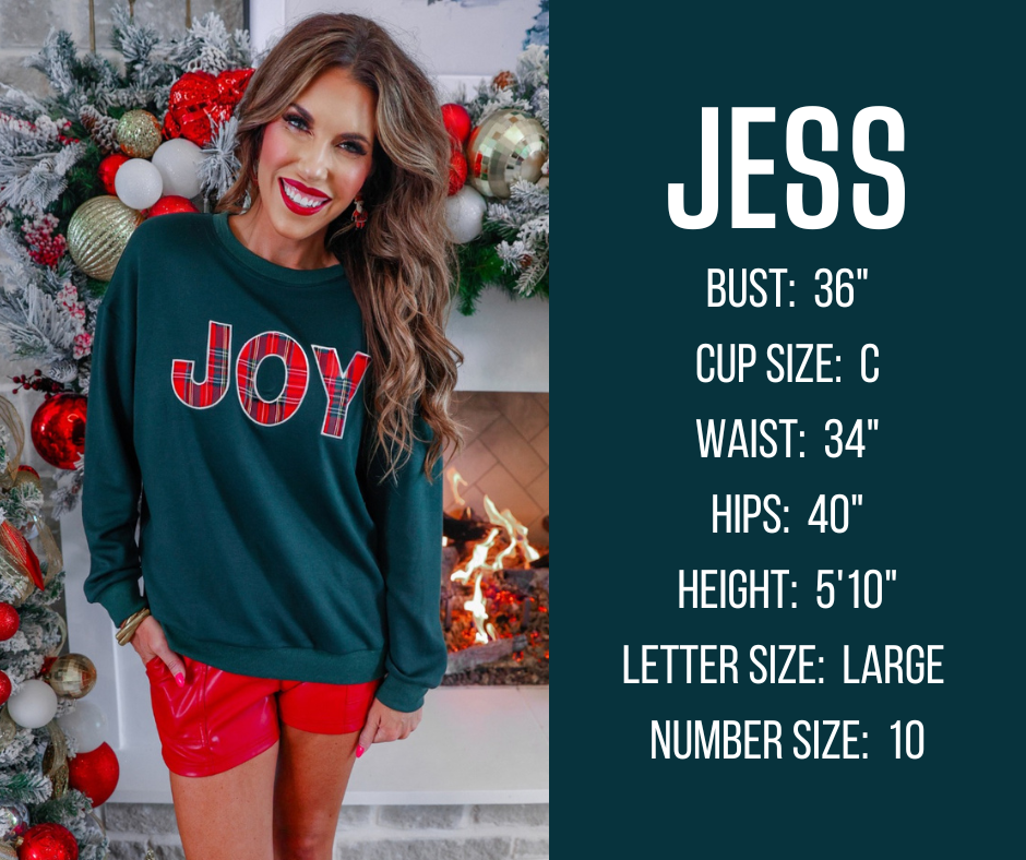 holiday version model specs for JESS